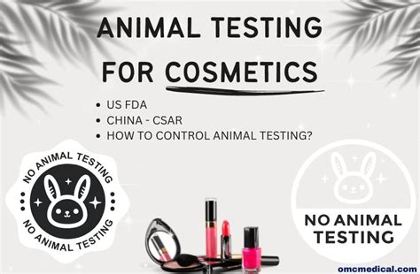 cosmetics animal testing seal|Cosmetics Safety Q&A: Animal Testing .